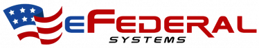 eFederal Systems